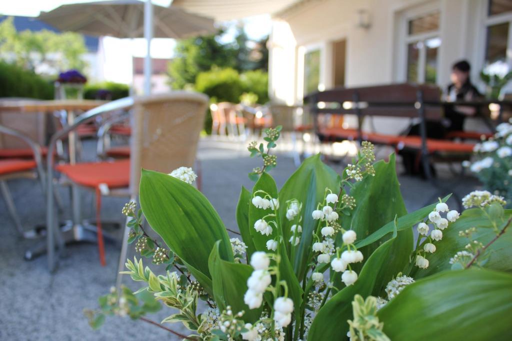 Lindenhof Hotel Thiendorf Bagian luar foto